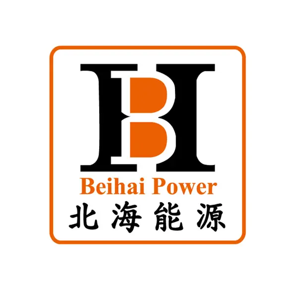 BeiHai Power VK, YouTube, and Twitter go live at the same time (just to document EV charging piles)