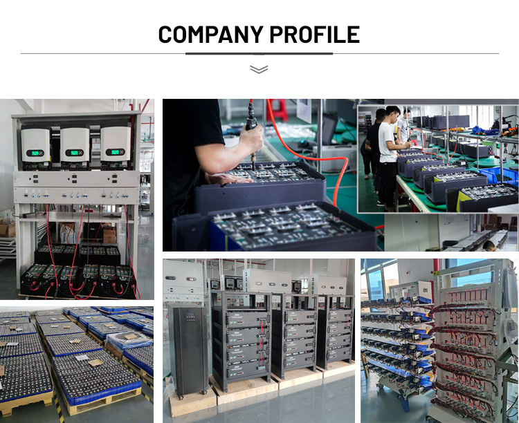 lifepo4 lithium ion batteries