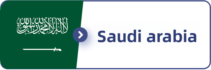 As the world's largest oil exporter, Saudi Arabia's automobile market is still dominated by fuel vehicles, and the penetration rate of new energy vehicles is low, but the growth momentum is rapid.
