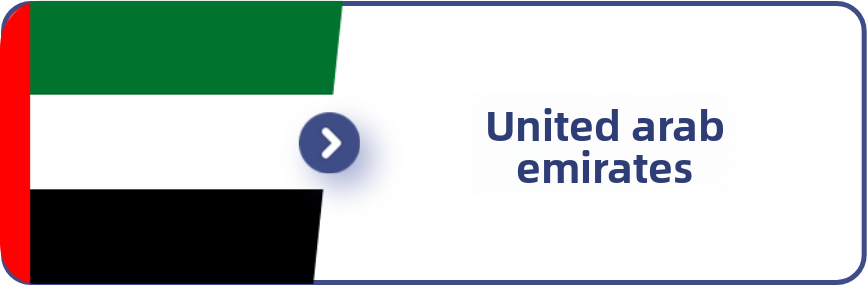 As the first Middle Eastern country to commit to "net zero emissions" by 2050, the UAE continues to rank among the top two in the Middle East in terms of electric vehicle sales, according to the International Energy Agency.
